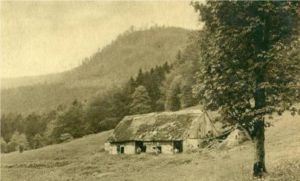Marcairie du Langenwasen